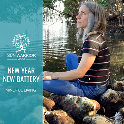 New Year New Battery