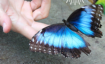 How do we resolve difficult problems in our lives?